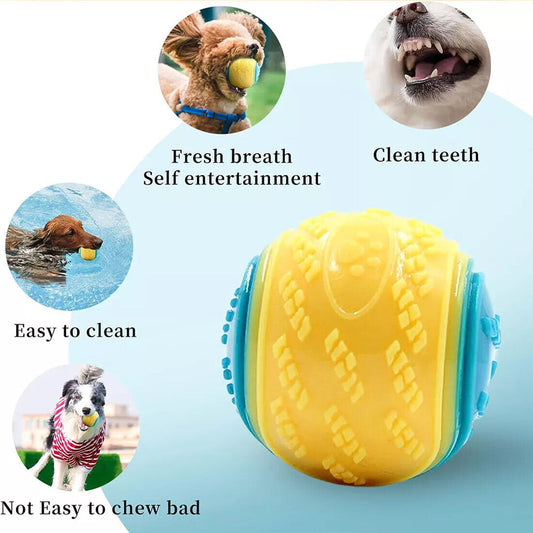 Scooby-Doo Durable Squeaky Set Of 8 Dog Balls
